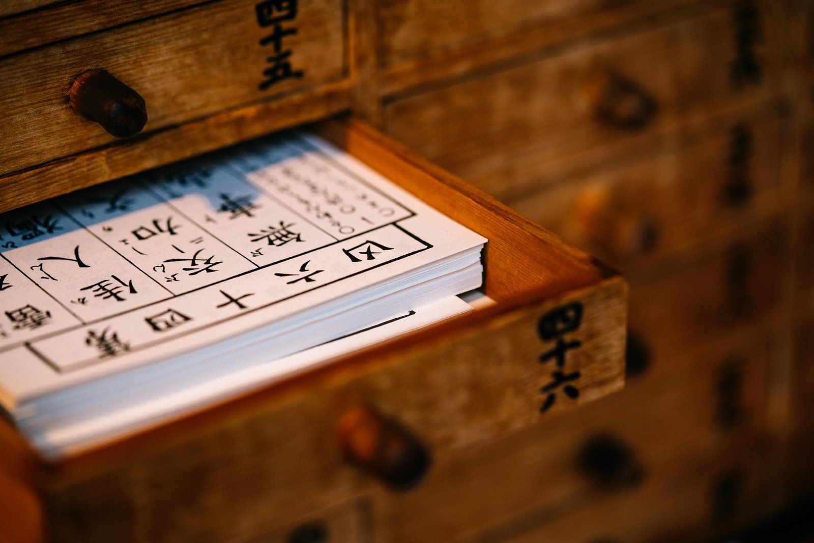 The benefits of a bilingual education