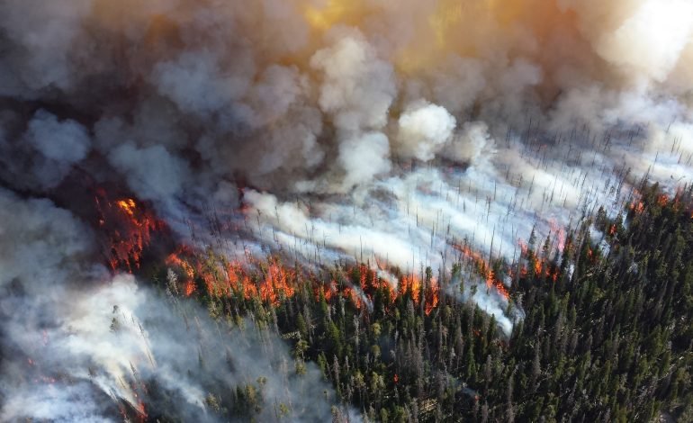 American wildfires affecting air pollution patterns