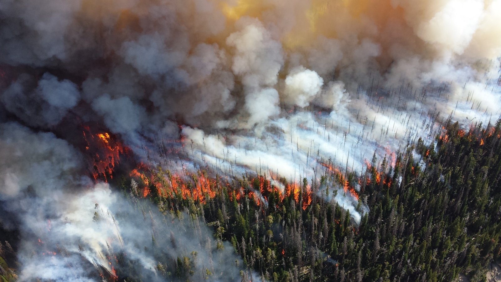 American wildfires affecting air pollution patterns