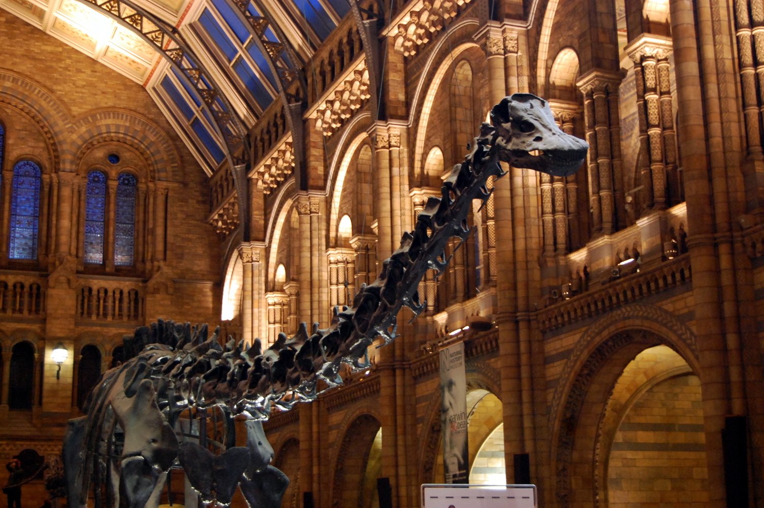 “Nation’s favourite dinosaur” makes a return to London