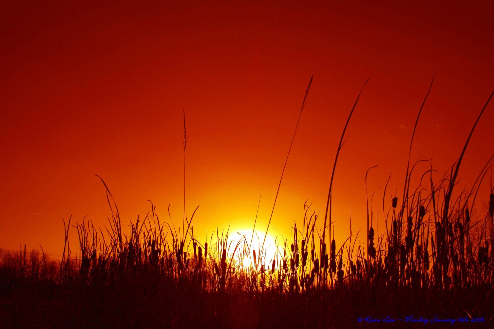 Hot summer lettings