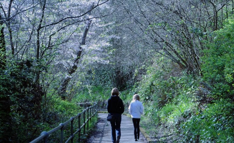 Time in nature improves health and purpose in life