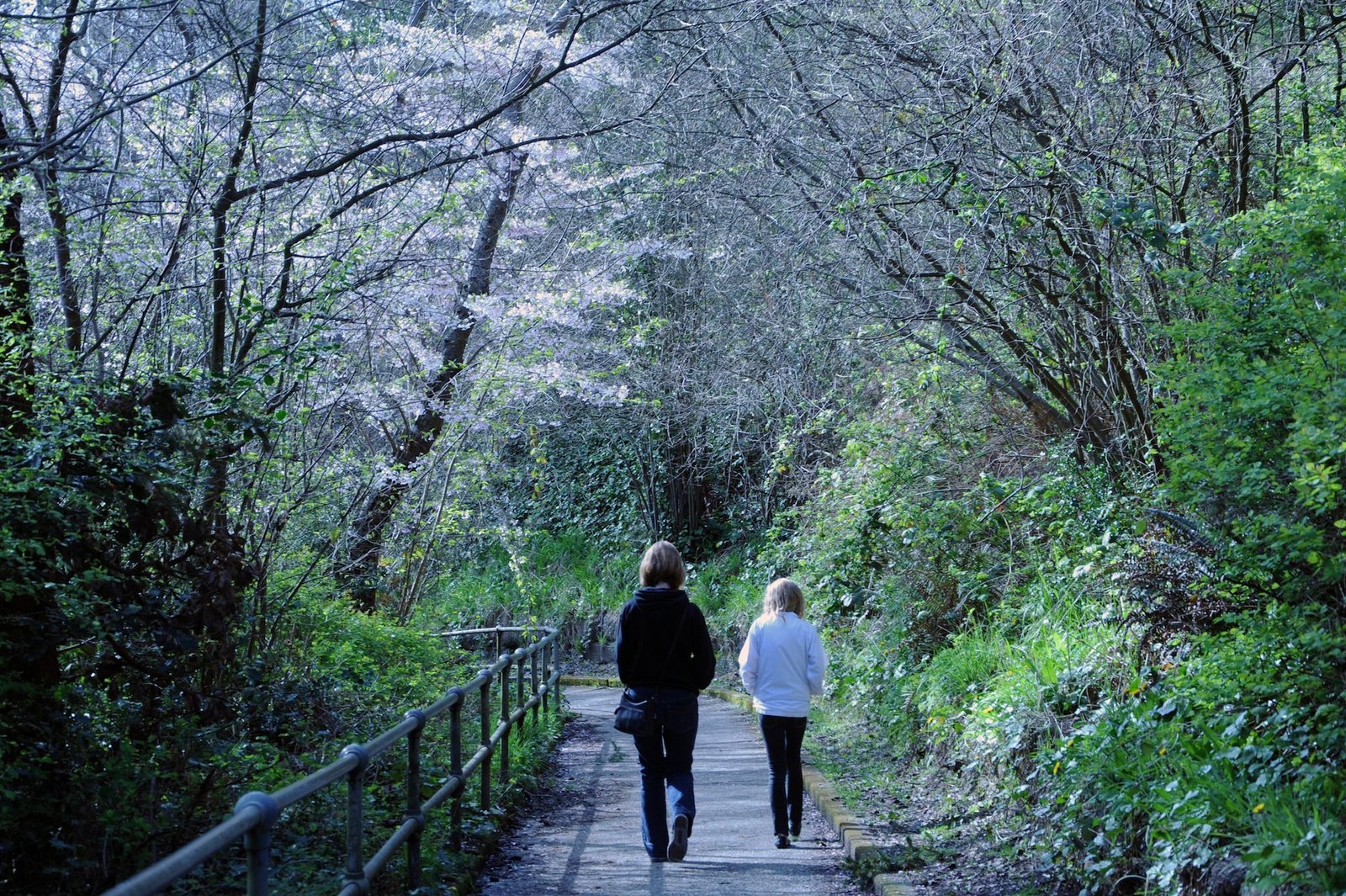Time in nature improves health and purpose in life