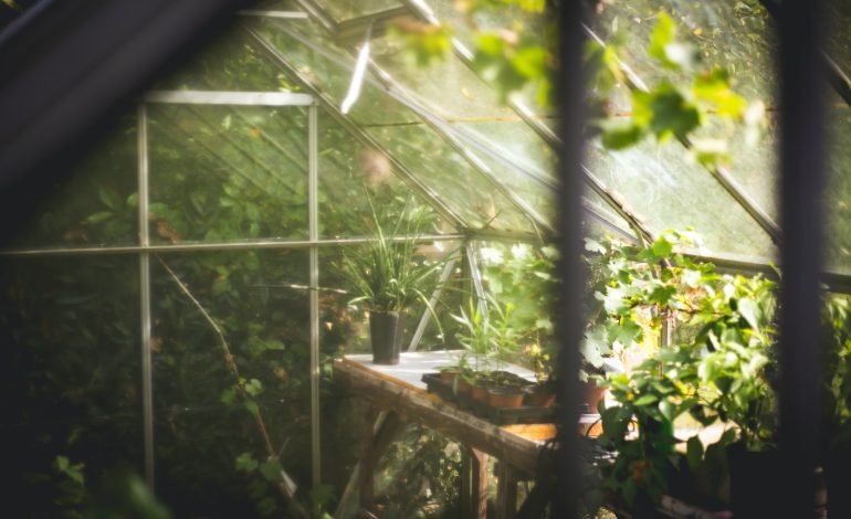community glasshouse