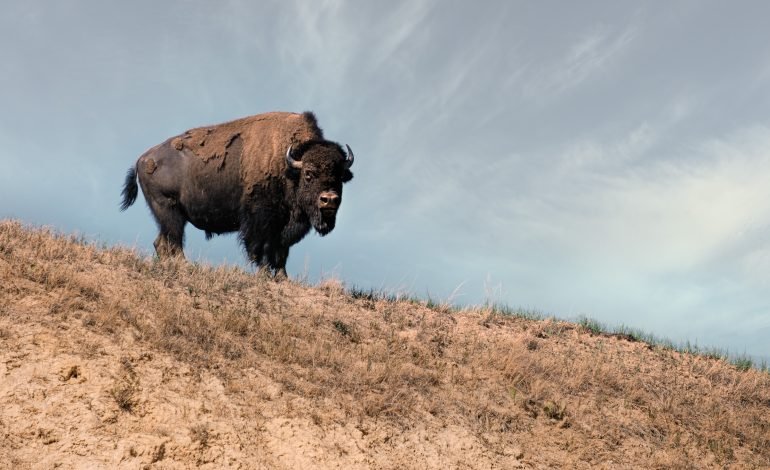 Hidden American gems to visit in the winter