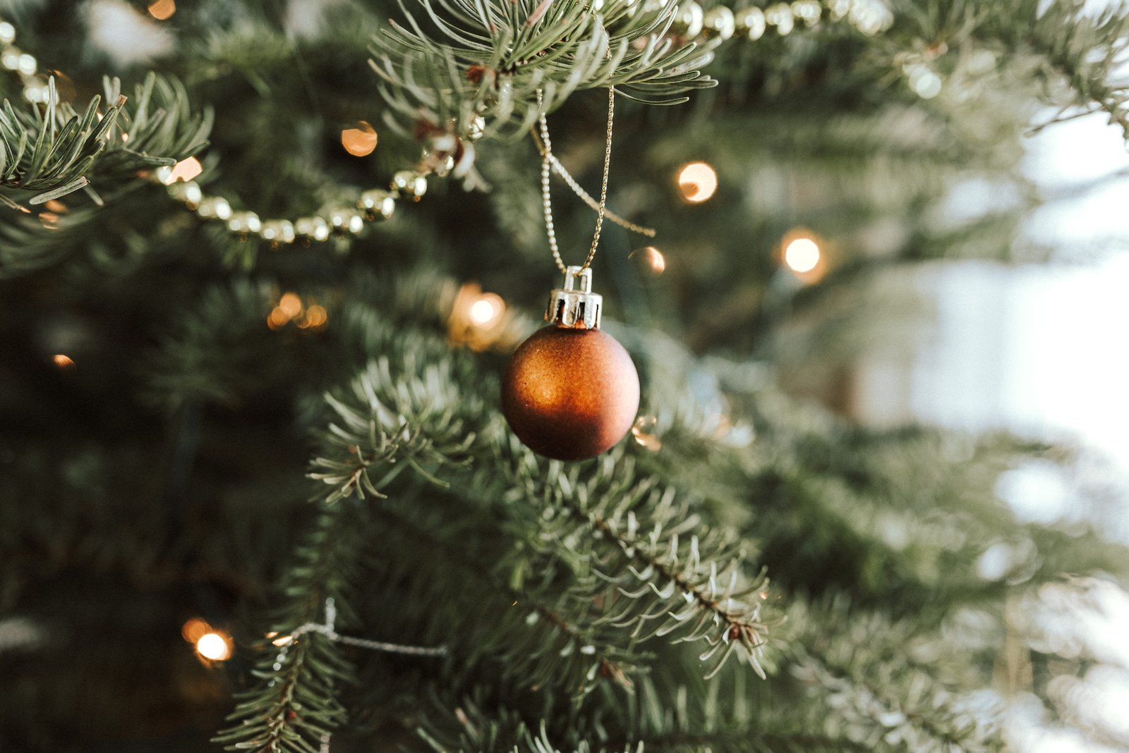 Schools to benefit from Christmas tree sales