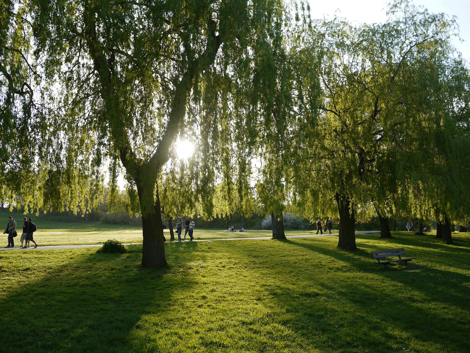 London & South-East iconic open spaces worth billions to society
