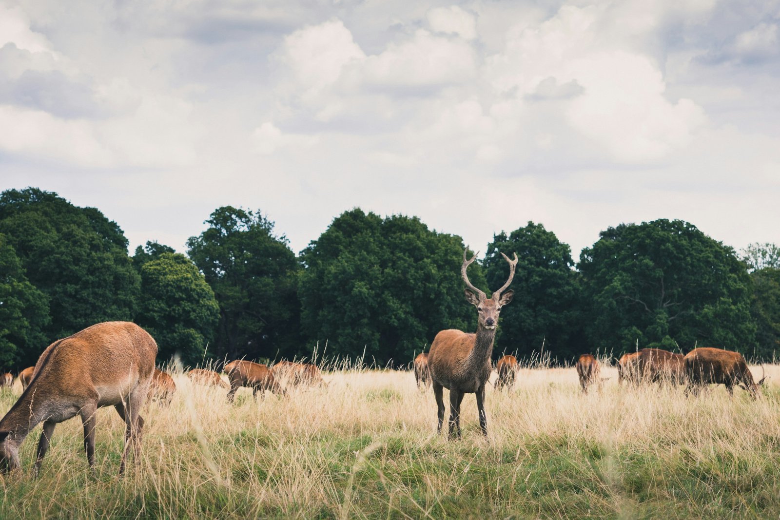 Richmond upon Thames happiest place to live in Britain