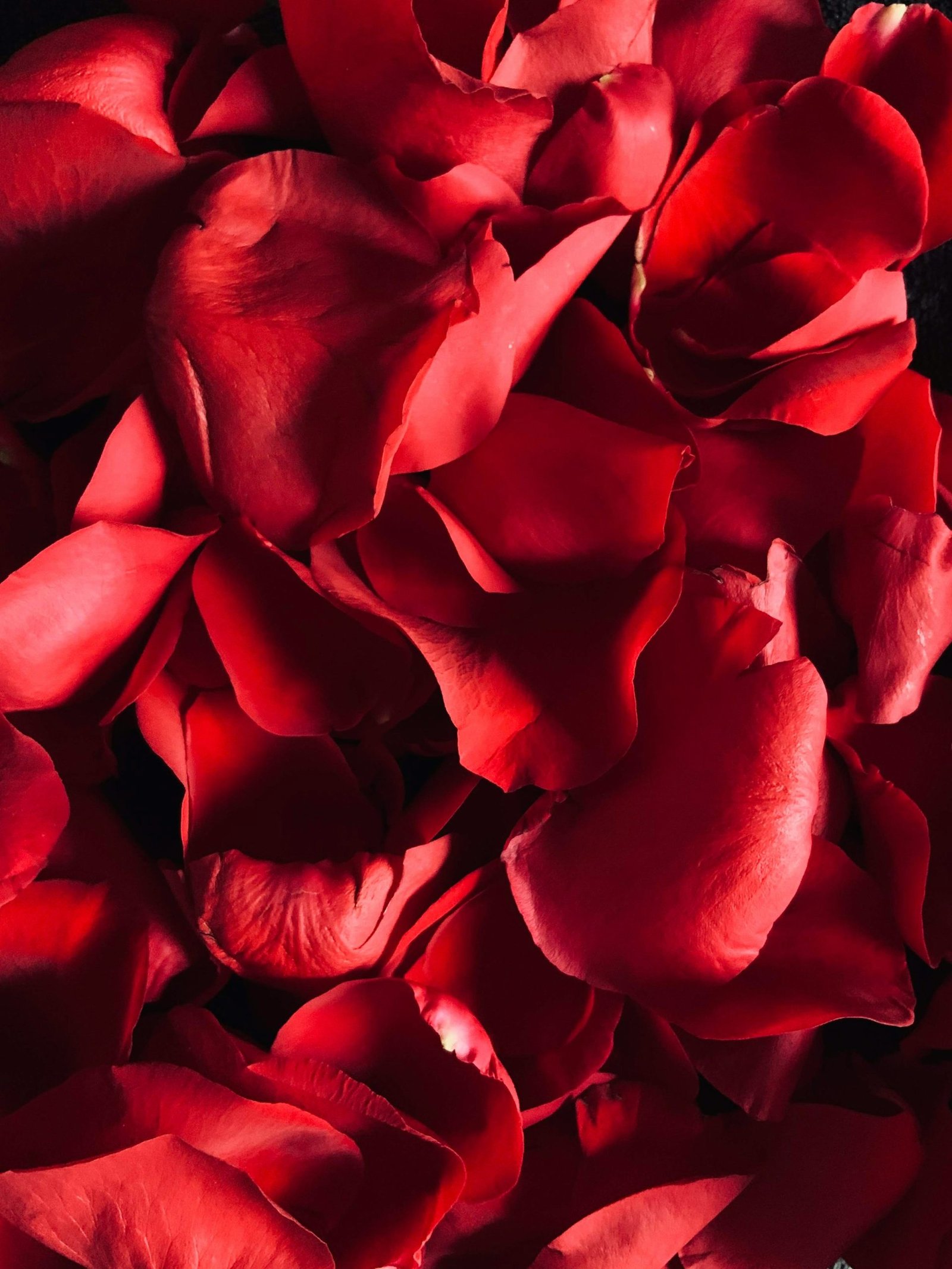 A Guide to Valentine’s Day in London