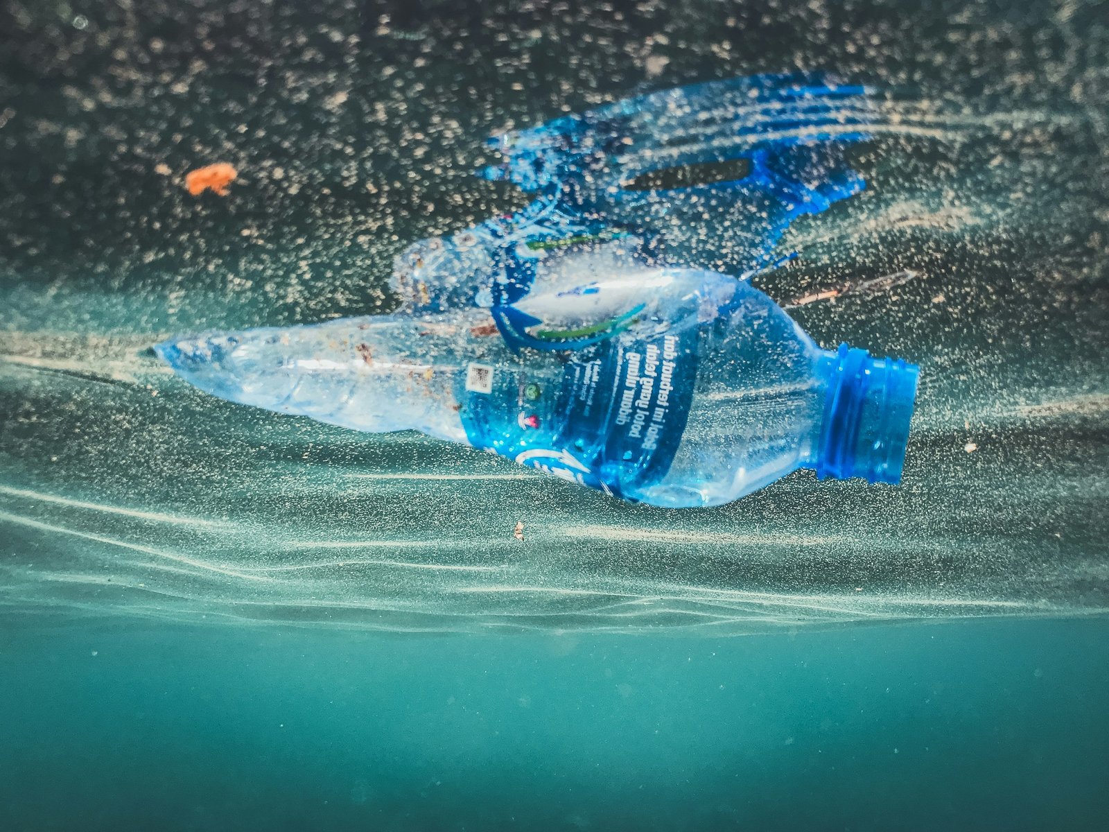 The use of fungi in the removal of microplastics