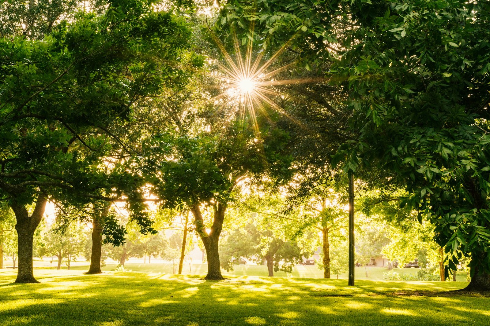 Finsbury Circus Gardens: A glimpse into the future of London’s oldest public park