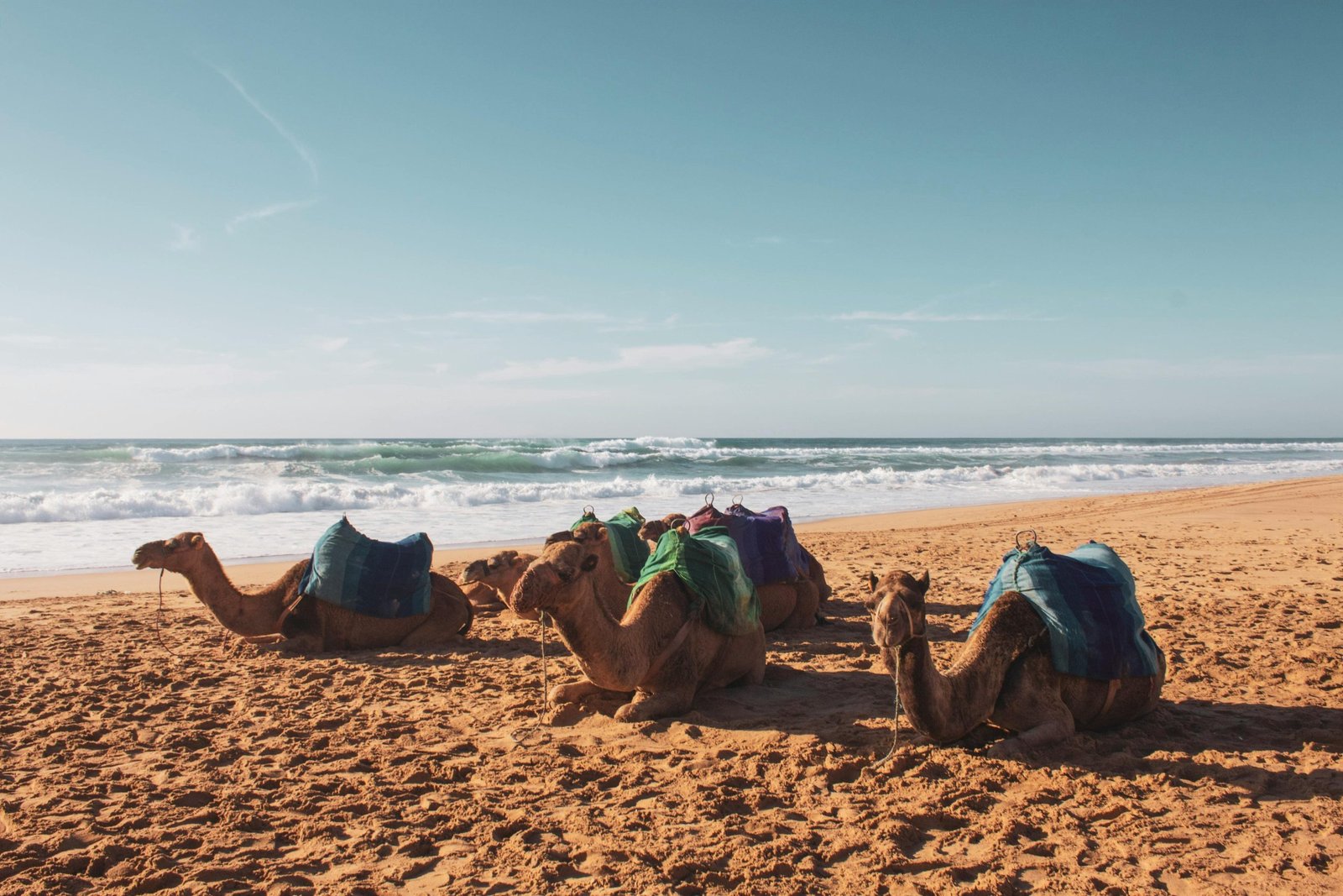 Discovering Agadir: Morocco’s Coastal Paradise