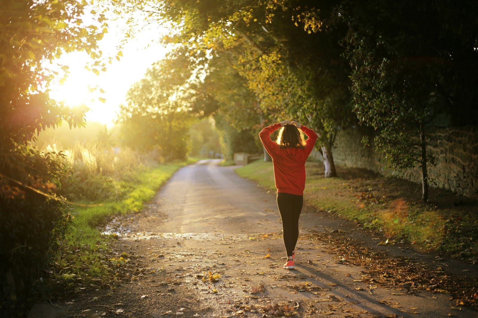 Move more and live better at Hampton’s free community health fair