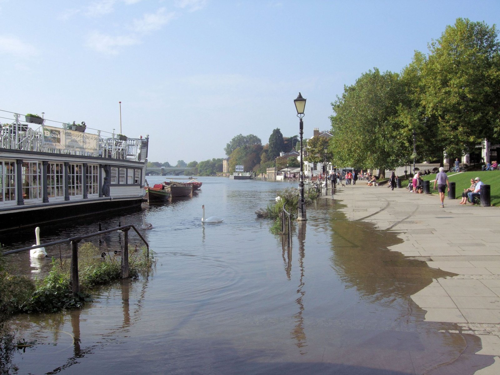 Support the High Tide Festival this summer