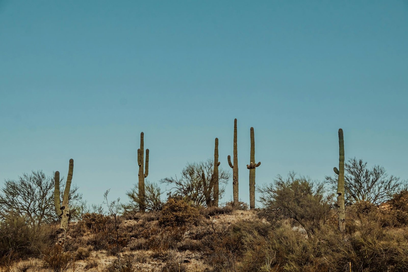 ‘Heat dome’ brings dangerous weather to western US