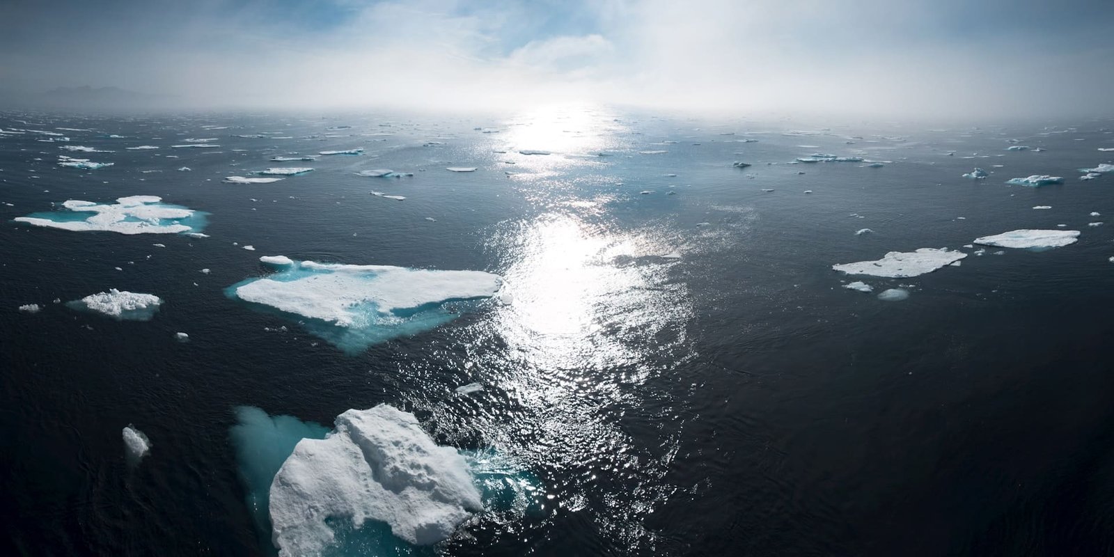 COP29 and International Energy Agency hold Energy Transition Dialogue in iconic Mansion House