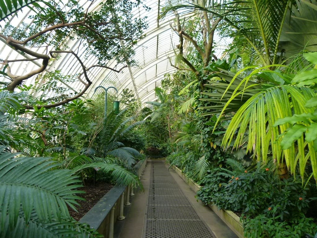 Half of Kew Gardens Trees Threatened by 2090 in Climate Change Warning