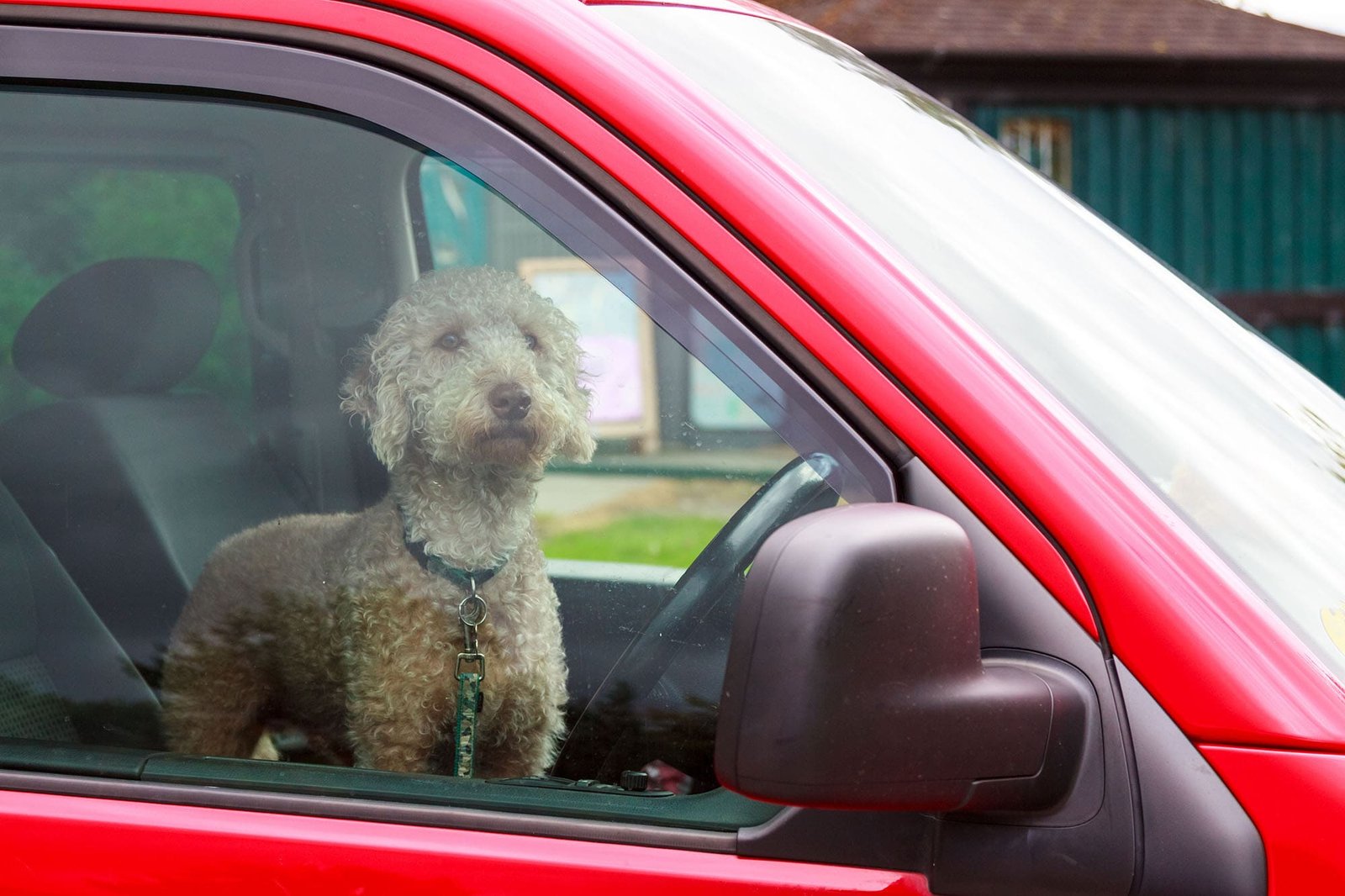 Keep your hot dogs cool during warm weather