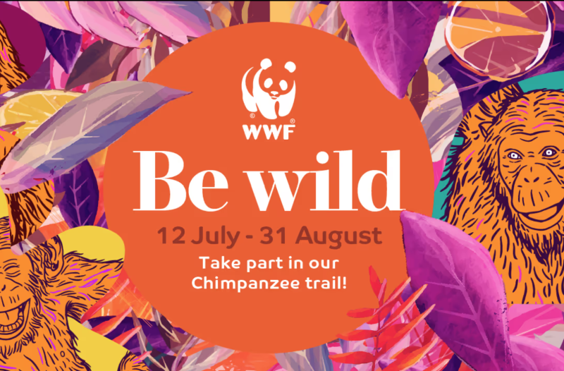 Richmond has announced a free art trail for nature conservation. This image features artwork illustrating the public art, with text: 'Be Wild: 12 July - 31 August. Take part in out Chimpanzee trail!'