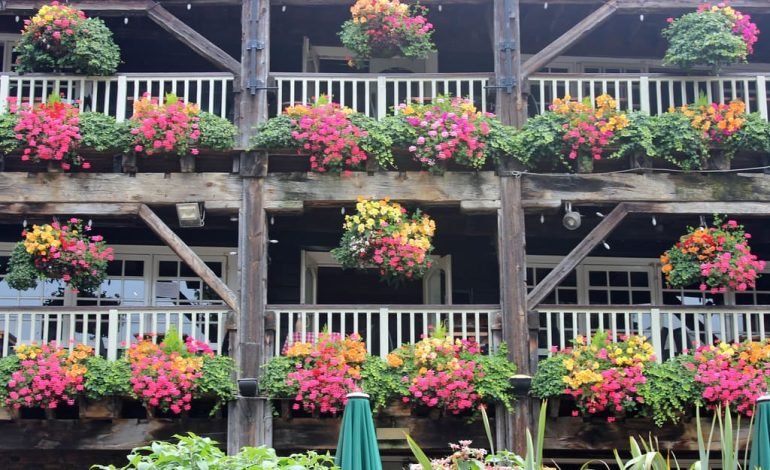 The Dickens Inn in as one of the historic pubs at St Katharine's Dock, adorned with lovely flower baskets on wooden balconies."