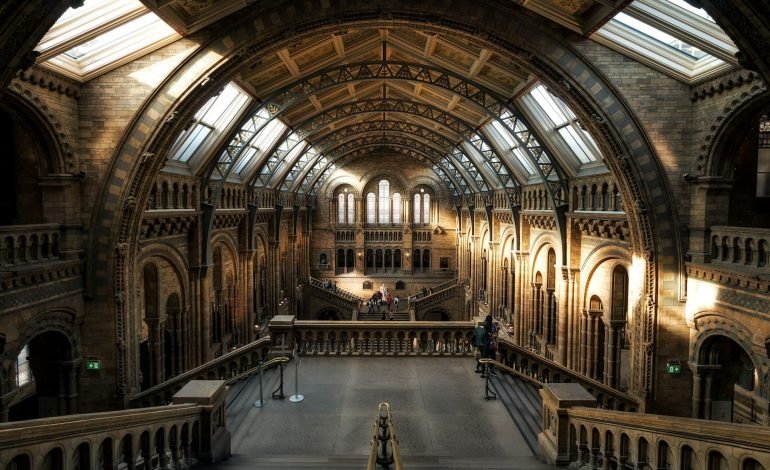 Nature in Focus at the Natural History Museum