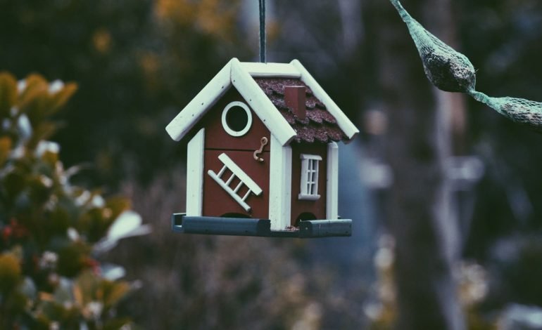 Home values climbing in 2024