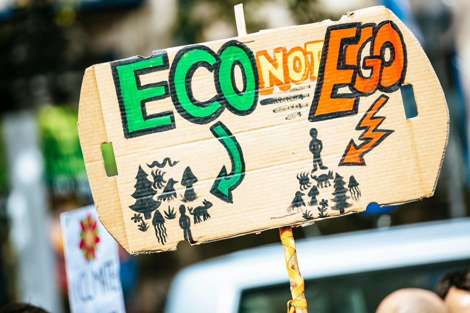 New ‘Community Reporting’ Scheme Launched to Shape Richmond’s Climate Strategy