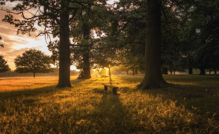 simon wilkes APX IrnG8yw unsplash