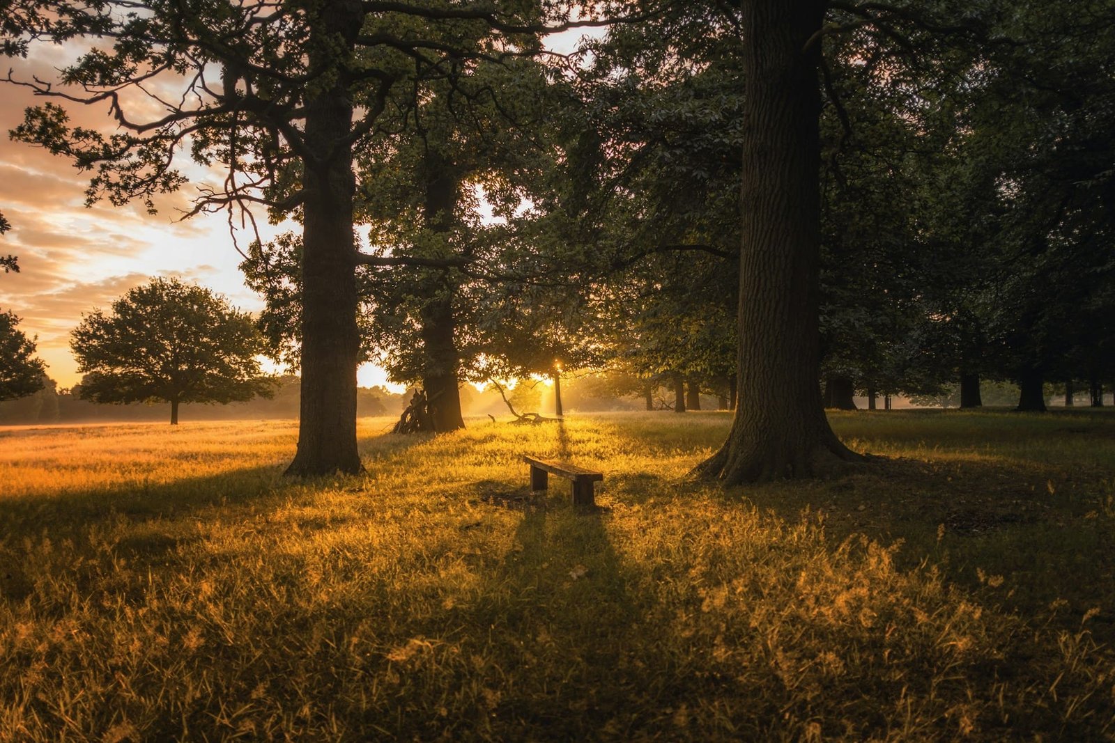 Free summer talks exploring nature
