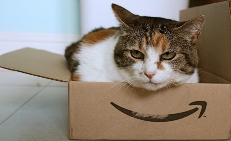 A cat comfortably sitting inside an Amazon UK delivery box, showcasing the familiar Amazon smile logo