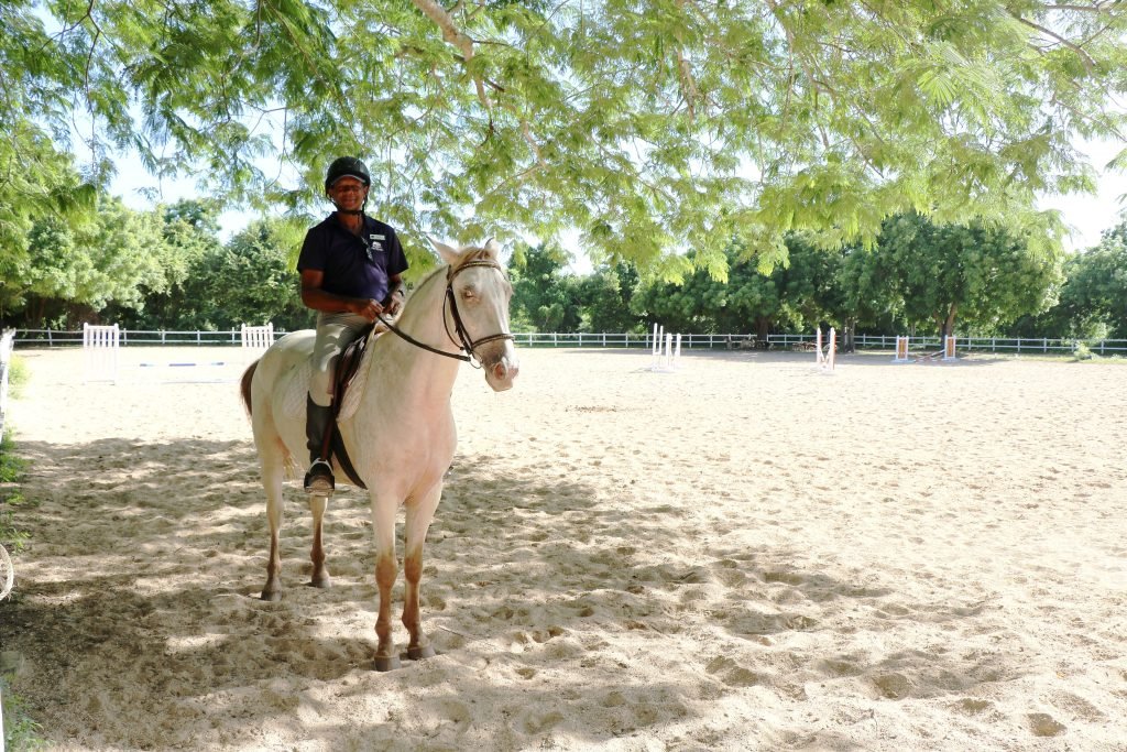 Image 3 Equestrian Centre