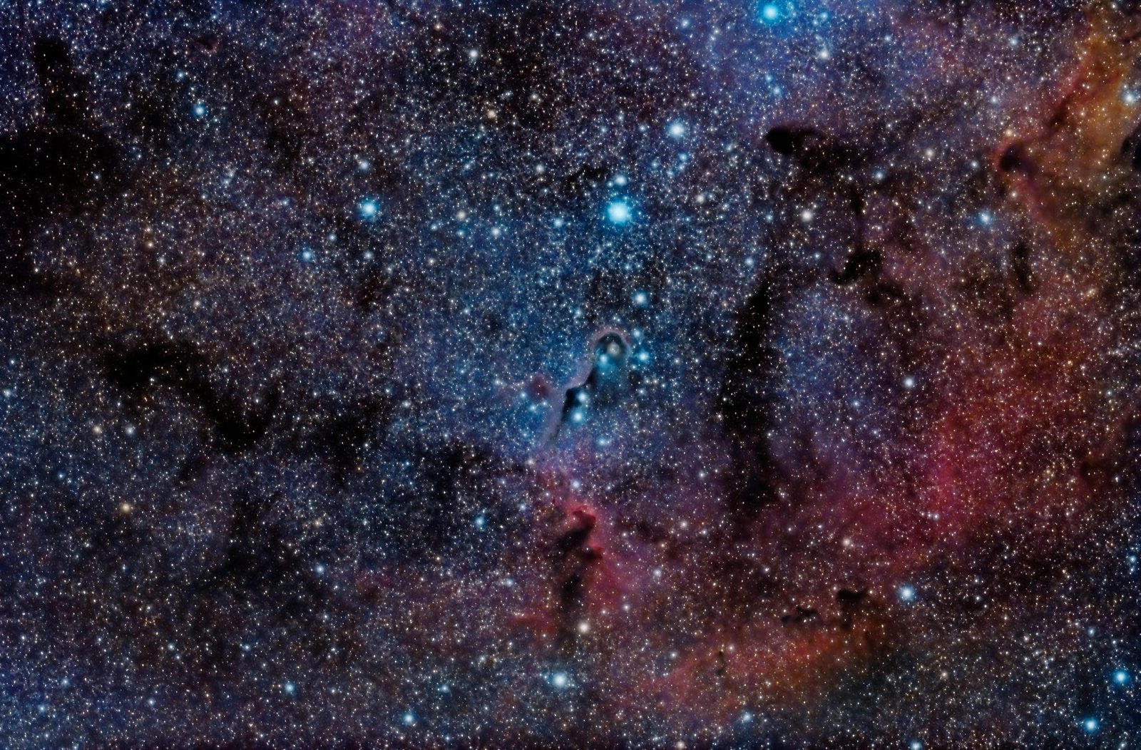 Higgs Boson Instability: Could Primordial Black Holes Have Ended Our Universe?