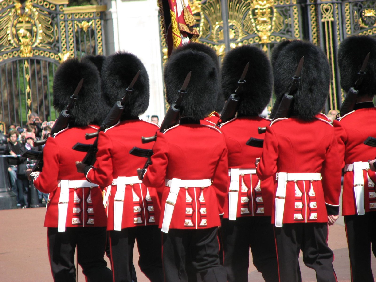 The Rising Cost of Bearskin Caps and the Push for Change in the UK