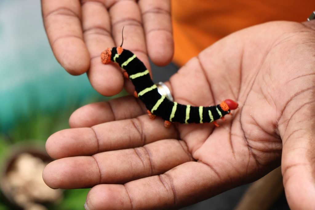 Image 9 caterpillar