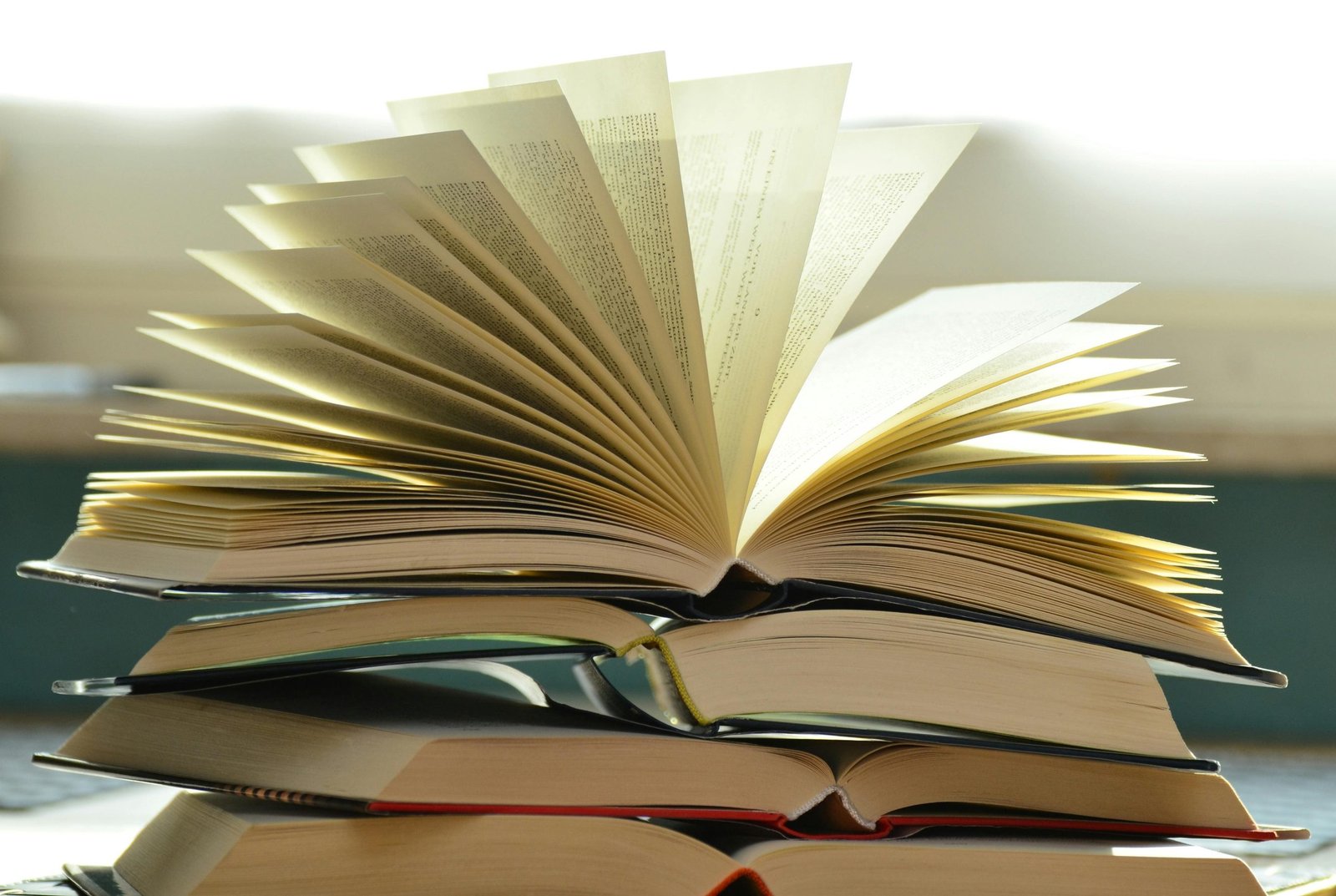 Booker Prize 2024 Shortlist: Record Number of Women Represented