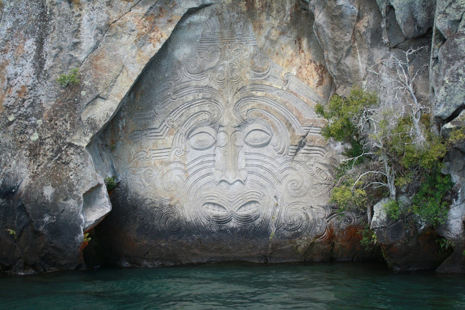 Māori language ‘at risk’ due to government policies, says commissioner