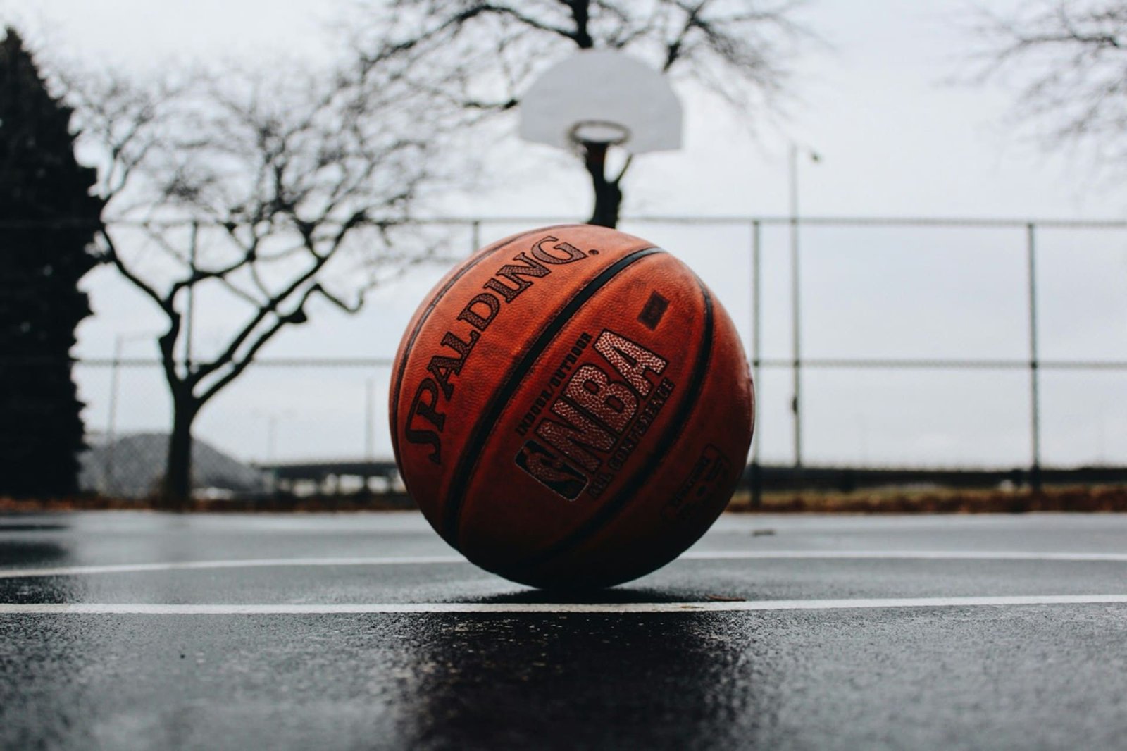 Basketball to receive support from mayor