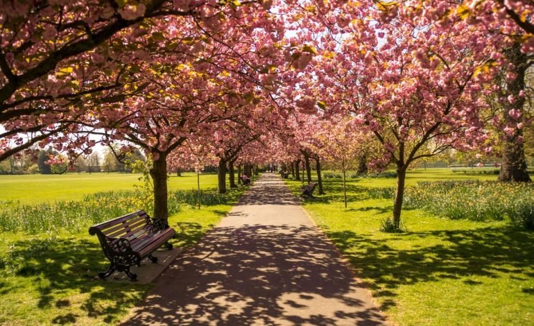 white city gardens