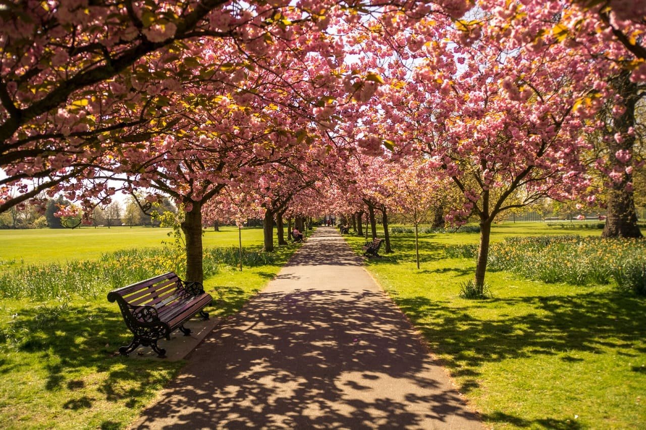 White City gardens celebrated by exhibit