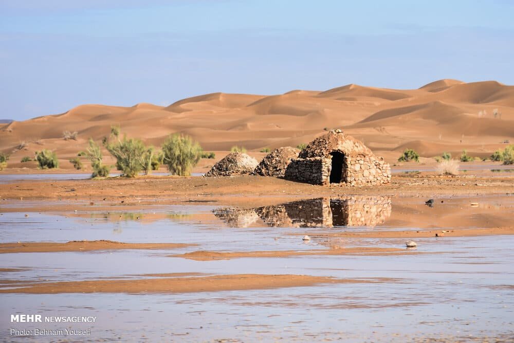 Rare Rainfall Transforms the Sahara Desert, Bringing Life and Destruction