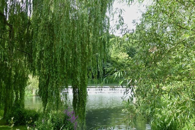 Scenic view of the River Avon, where missing emu Irwin was found after a week long search.
