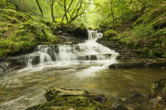 Unnamed Waterfall Melincourt Brook geograph.org.uk 1454597
