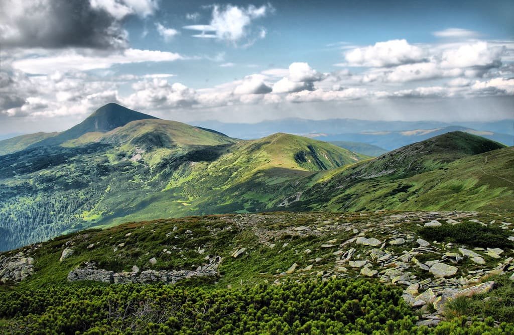 War-Wilding: How Ukraine’s War-Torn Landscapes Are Seeing Unexpected Ecological Revival