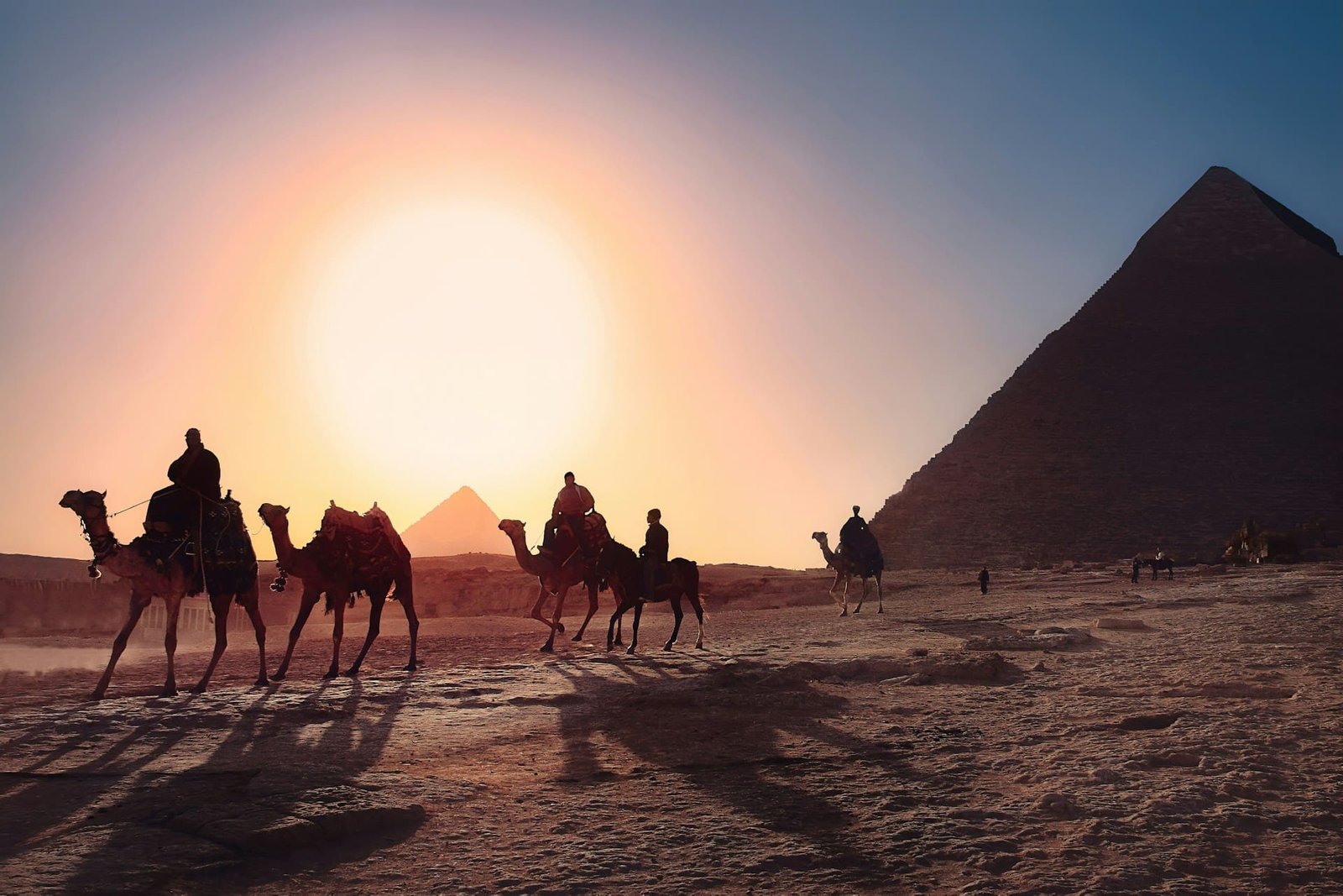 Malaria free Egypt declared following century of effort