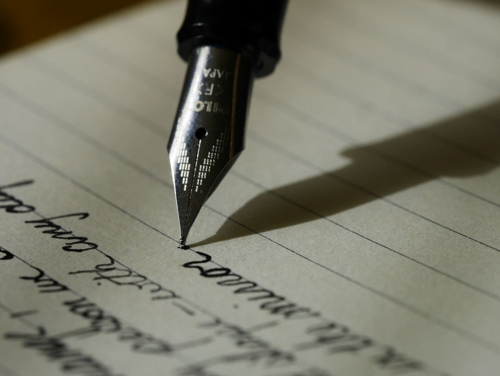 Young Fulham writers shine in new anthology