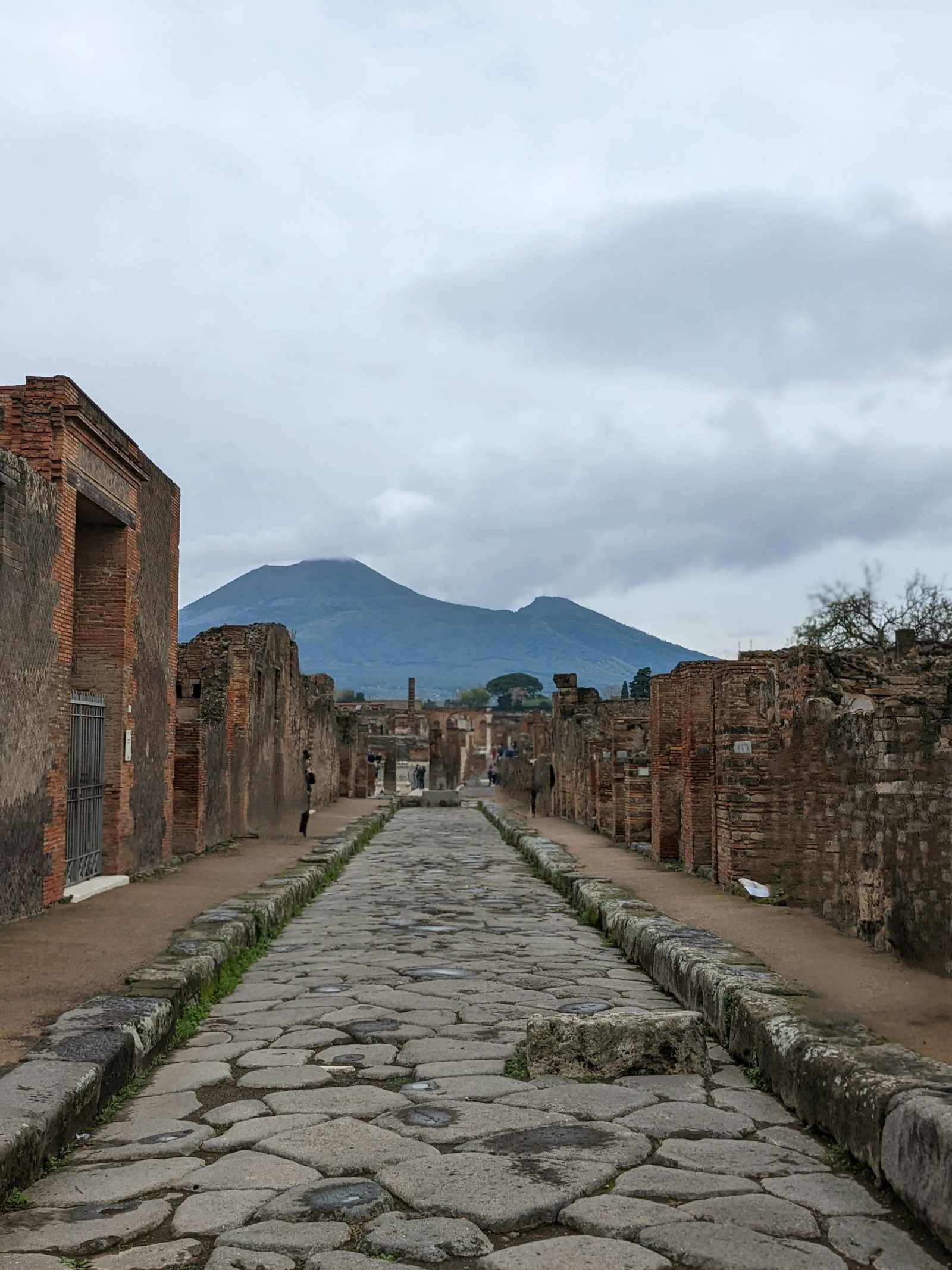 Pompeii ancient DNA sheds new light on its people