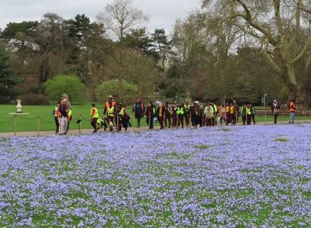 Students from Richmond upon Thames enjoying outdoor learning in a top rated school environment
