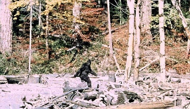 Bigfoot Search Tragedy: Two Men Found Dead in Washington Forest