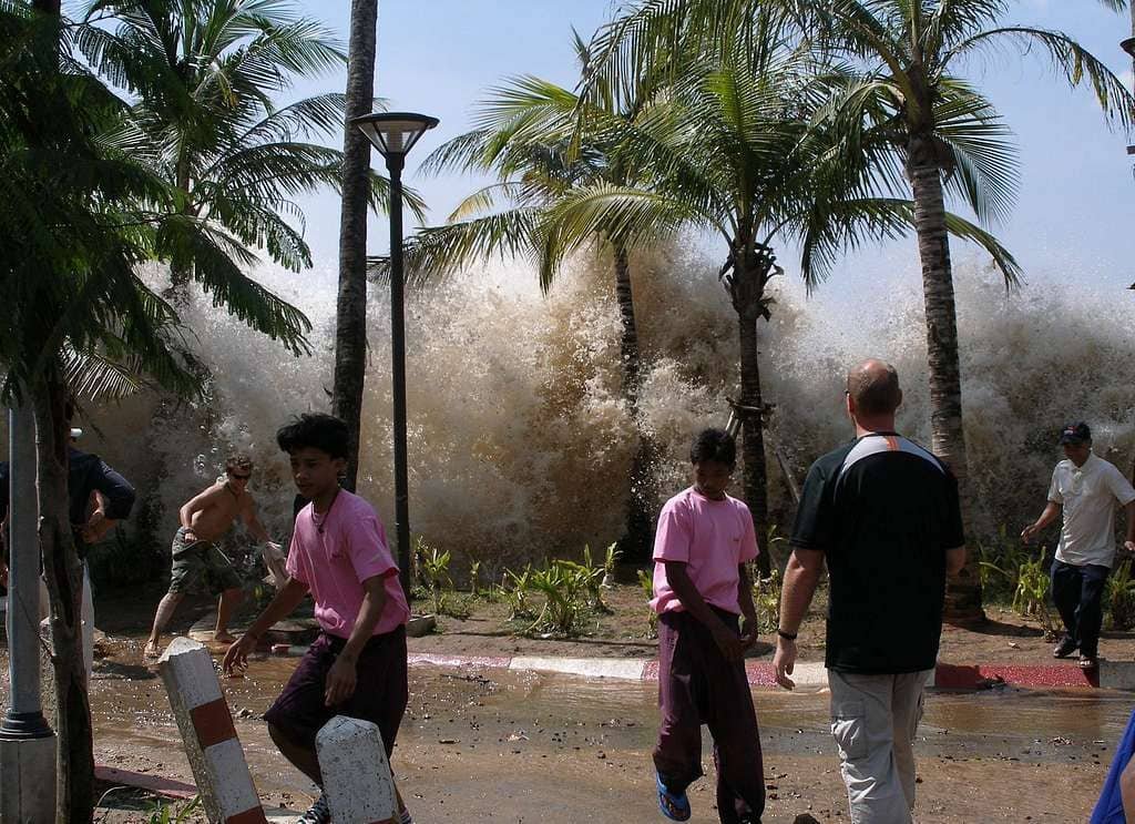 20 Years On: Remembering the Indian Ocean Tsunami