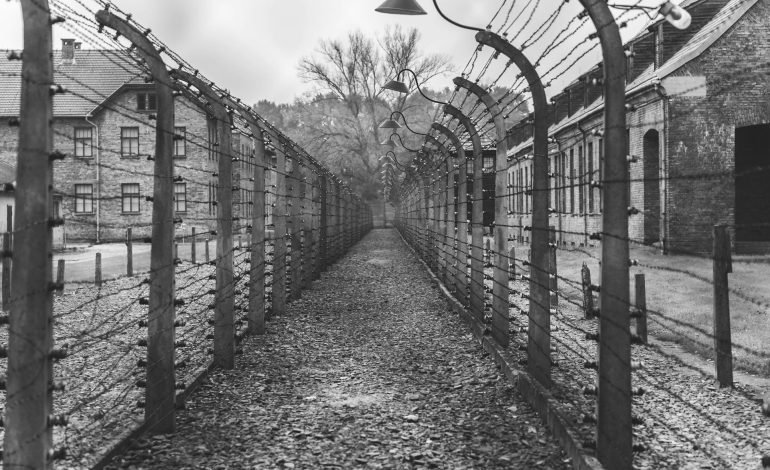 nazi